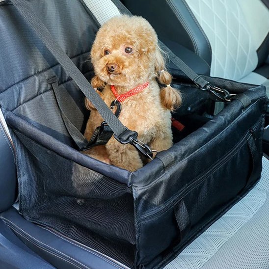 Siege auto pour chien - SafetyDogFirst™