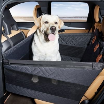 Siege auto pour chien - SecureDog™ - Ma Promenade avec Toutou