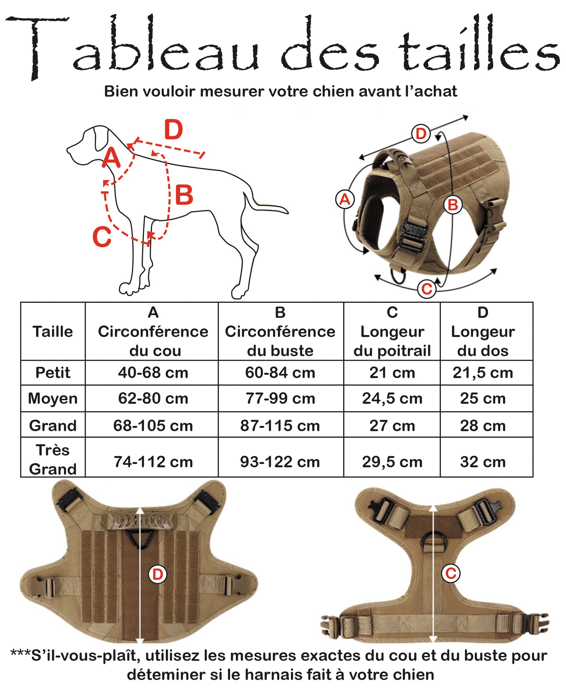 tableau des tailles