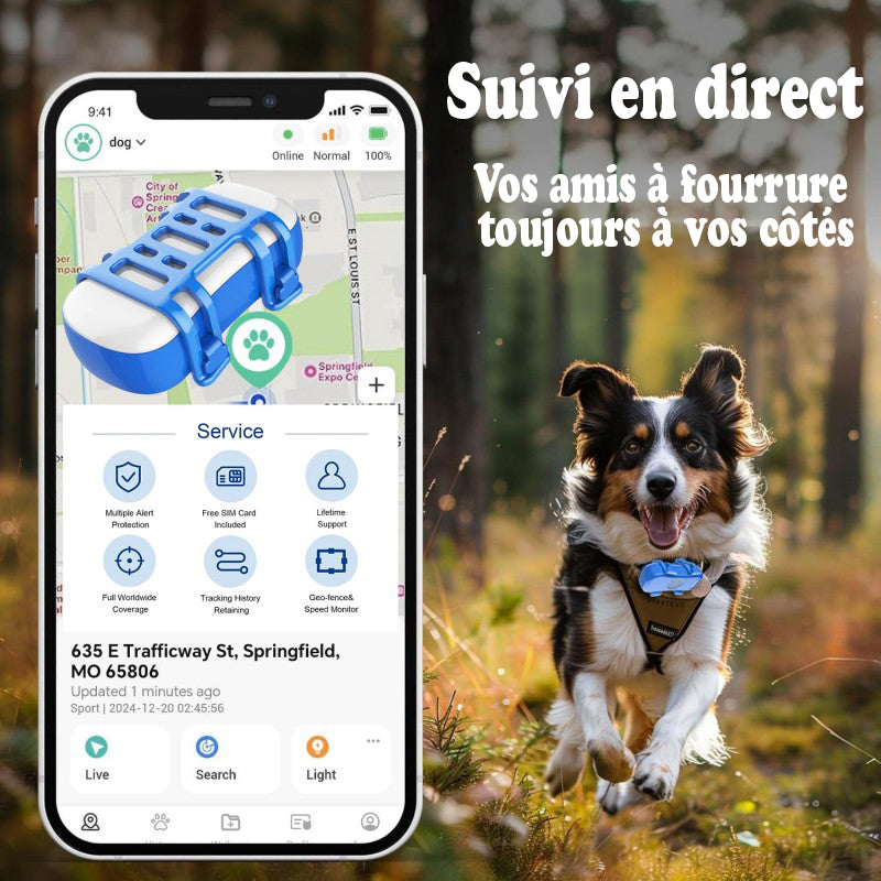 Traceur gps Chien - BlueFoundDog™